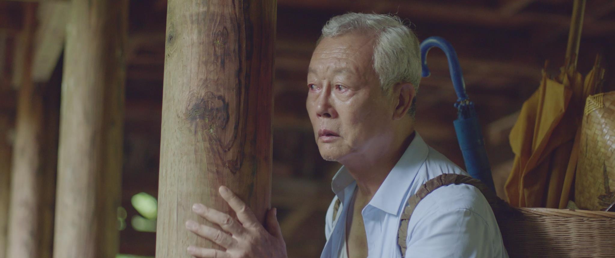 夏至廊桥剧照