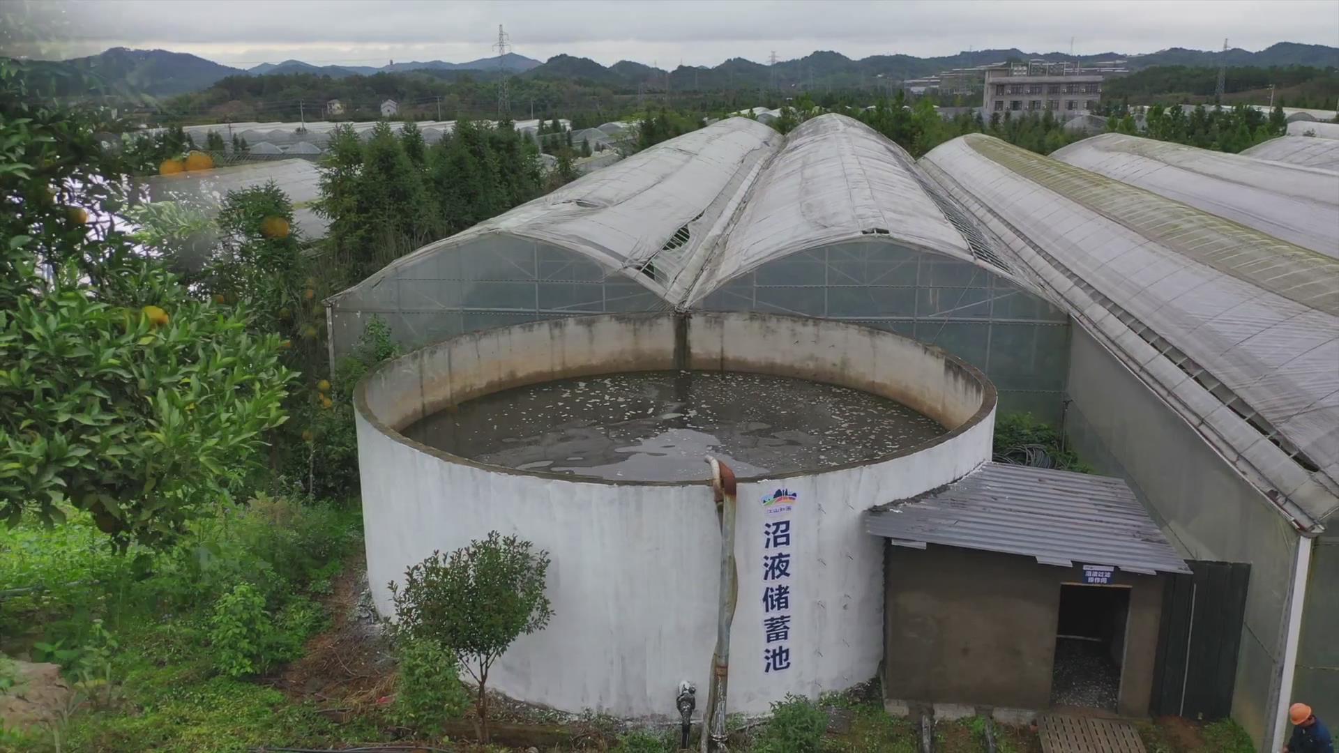 果（菜、茶）-沼-畜循环农业技术剧照