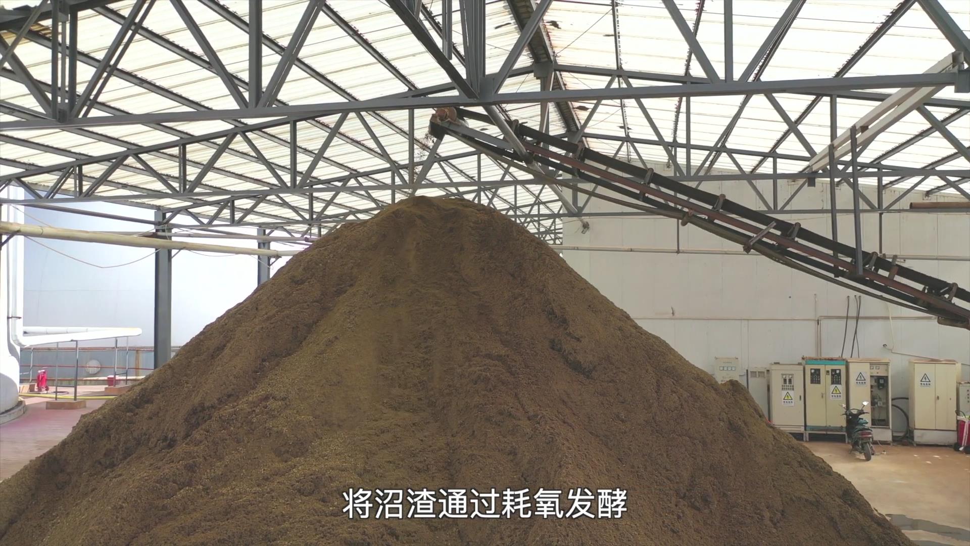 果（菜、茶）-沼-畜循环农业技术剧照