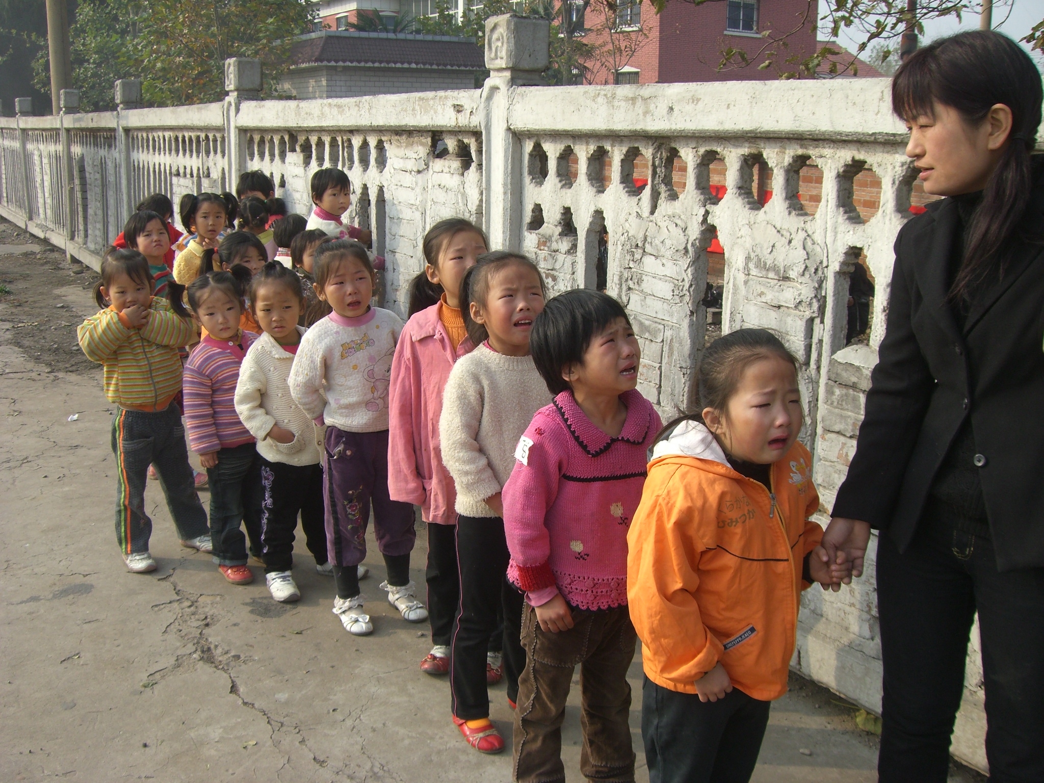 血缘寻亲剧照
