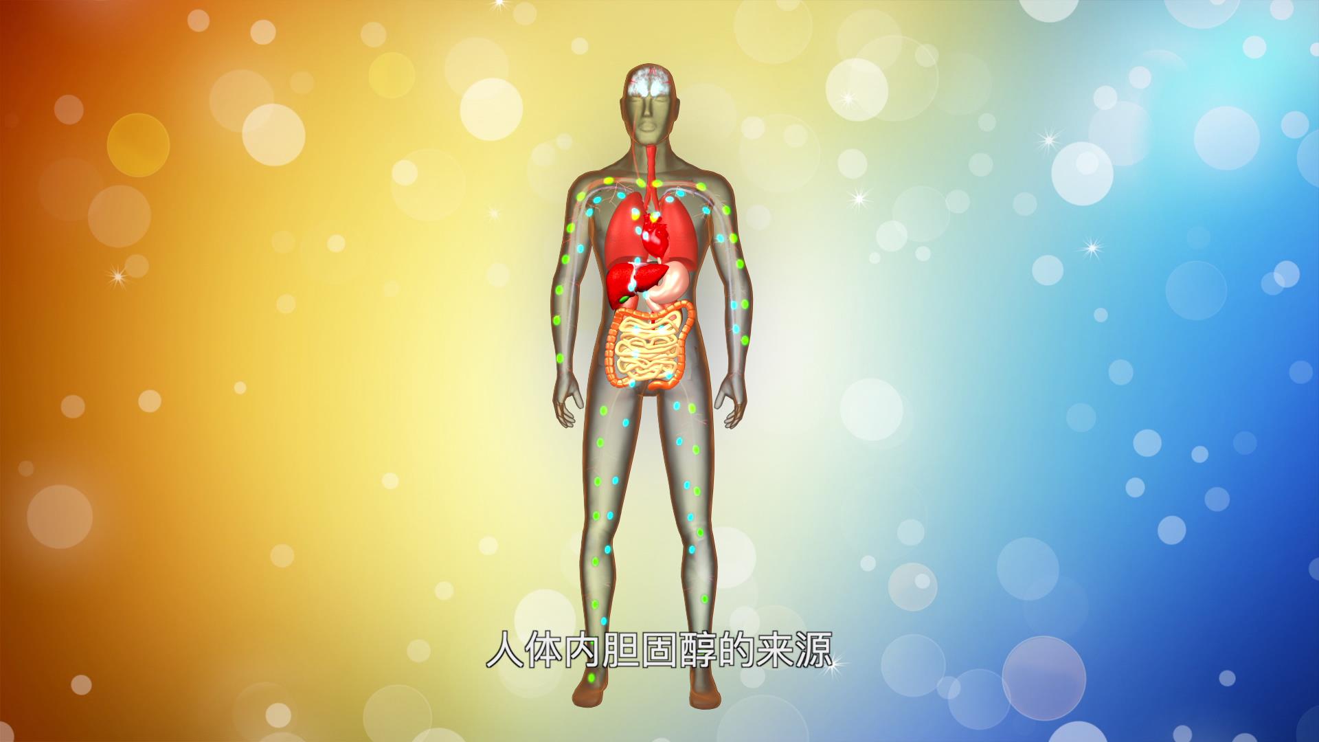 长期吃素真的能把&ldquo;三高&rdquo;降下来吗？剧照