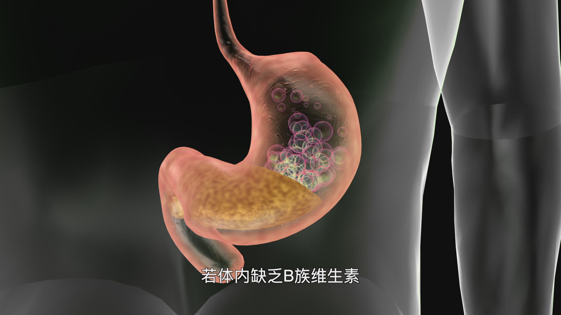 长期吃素真的能把&ldquo;三高&rdquo;降下来吗？剧照
