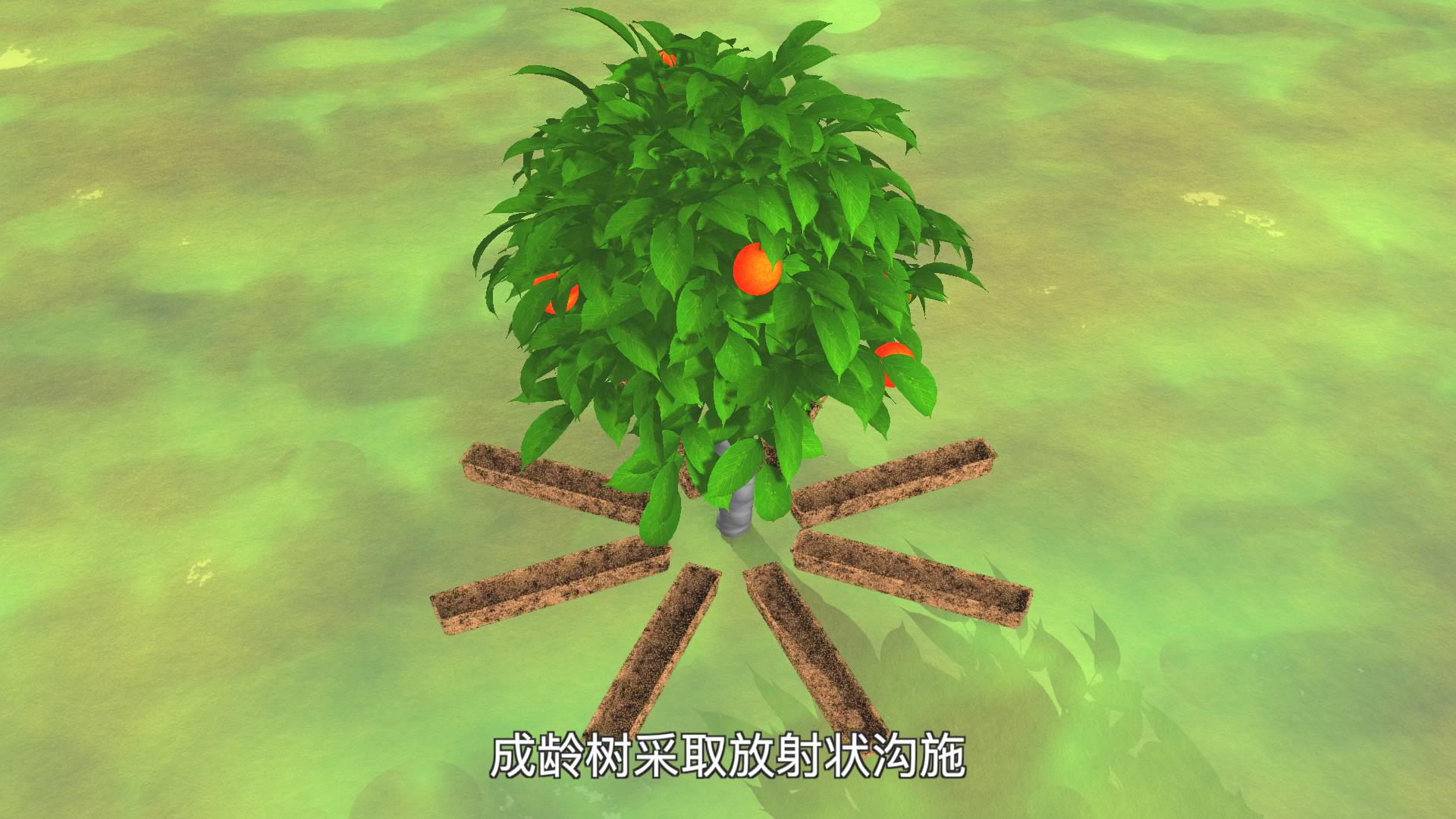 果（菜、茶）-沼-畜循环农业技术剧照