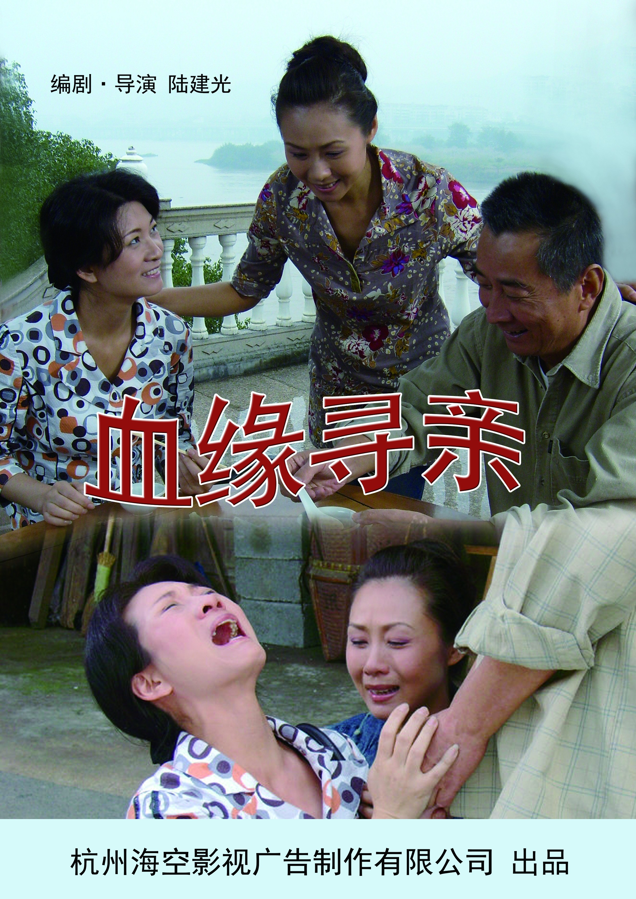 血缘寻亲宣传图