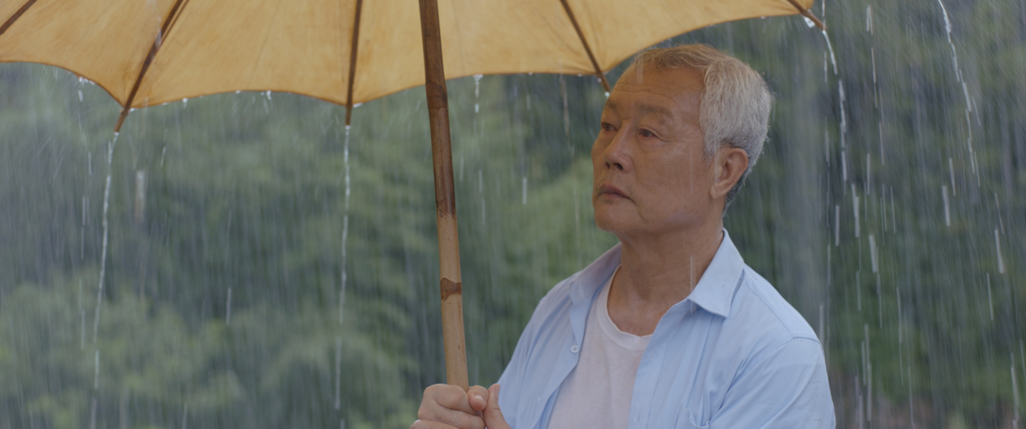 夏至廊桥剧照
