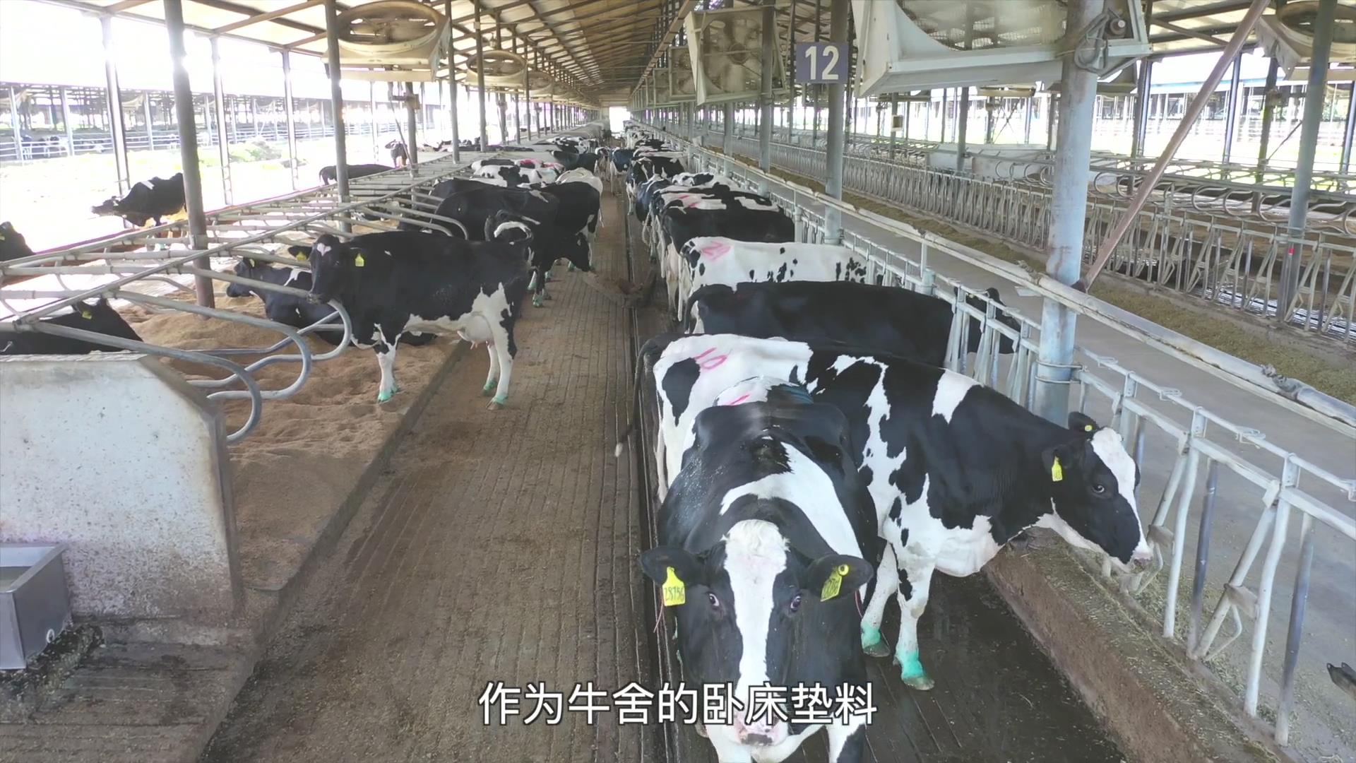 果（菜、茶）-沼-畜循环农业技术剧照
