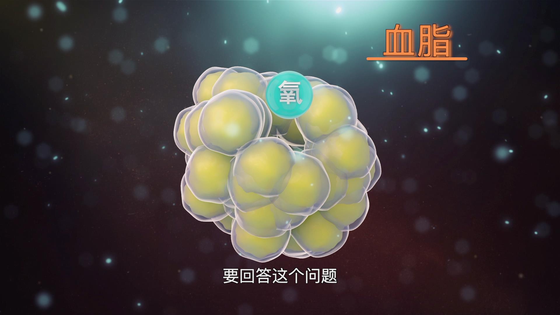 长期吃素真的能把&ldquo;三高&rdquo;降下来吗？剧照