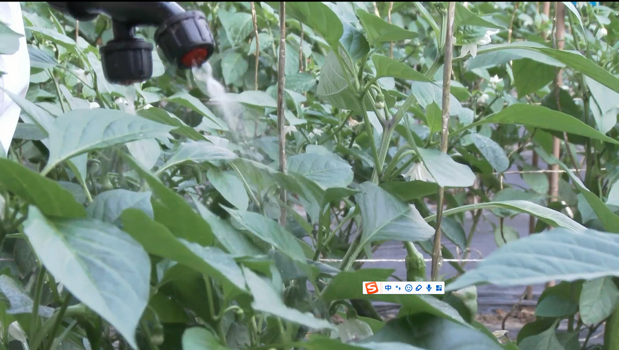 农药中毒的预防与急救剧照