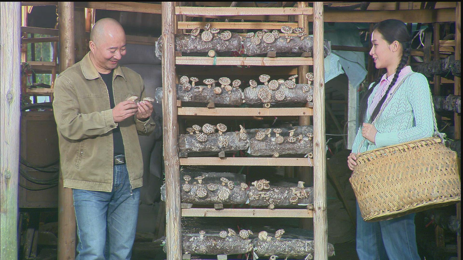 其乐融融剧照