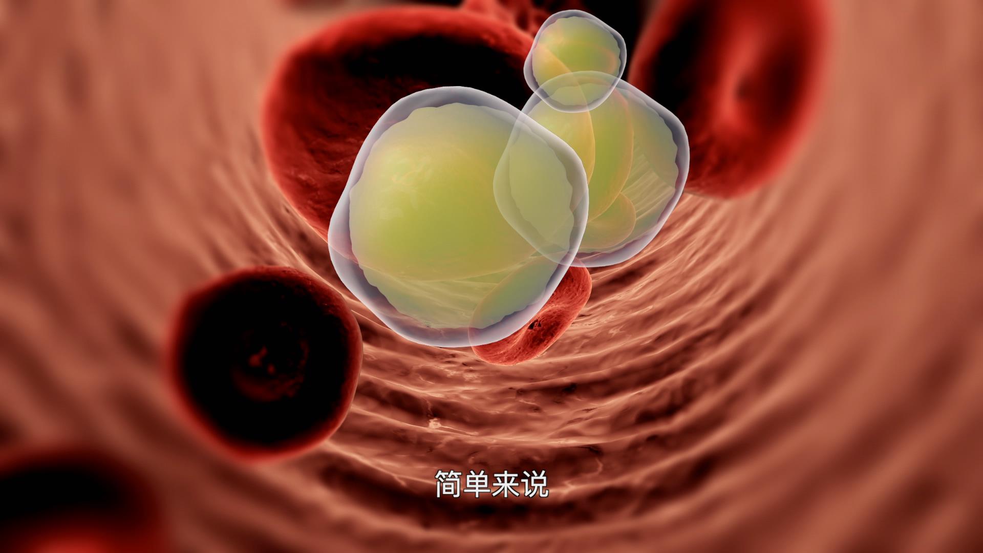 长期吃素真的能把&ldquo;三高&rdquo;降下来吗？剧照